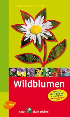Steinbachs Naturführer Wildblumen: Entdecken und erkennen