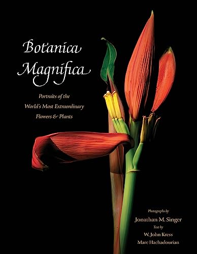 Botanica Magnifica: Portraits of the World's Most Extraordinary Flowers and Plants (Natural History)