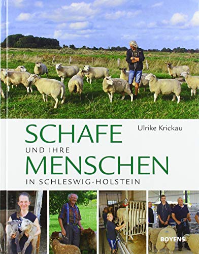 Schafe und ihre Menschen in Schleswig-Holstein von Boyens Buchverlag