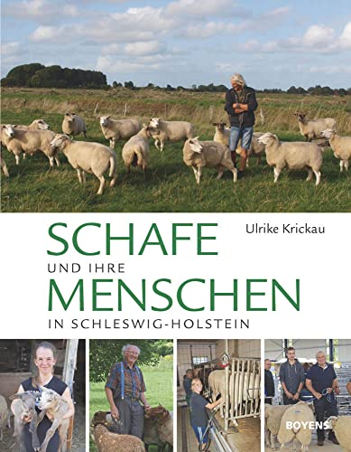 Schafe und ihre Menschen in Schleswig-Holstein von Boyens Buchverlag