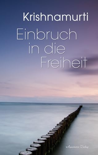 Einbruch in die Freiheit von Aquamarin