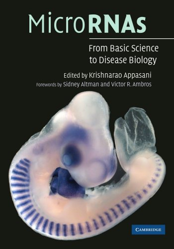 MicroRNAs: From Basic Science to Disease Biology von Cambridge University Press