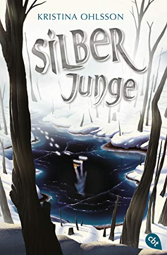 Silberjunge (Die Glaskinder-Reihe, Band 2) von cbt