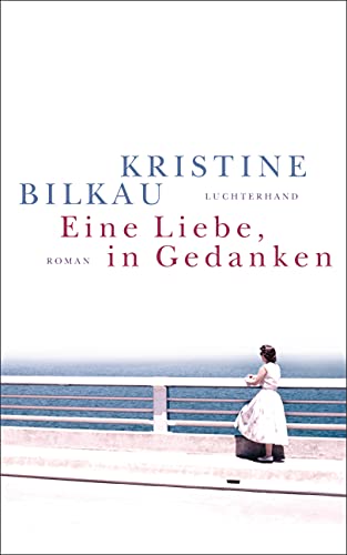 Eine Liebe, in Gedanken: Roman