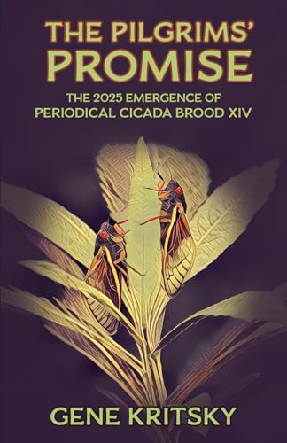 The Pilgrims’ Promise: The 2025 Emergence of the Periodical Cicada Brood XIV von Ohio Biological Survey