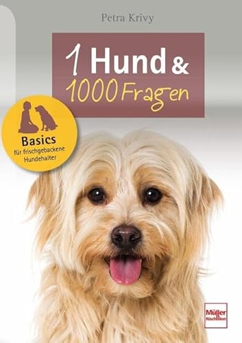 Ein Hund und 1000 Fragen: Basics für frischgebackene Hundehalter