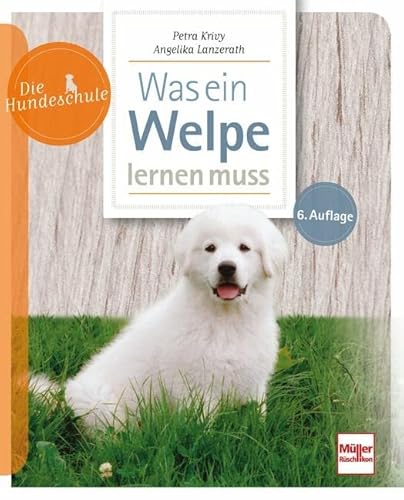 Was ein Welpe lernen muss (Die Hundeschule) von Müller Rüschlikon