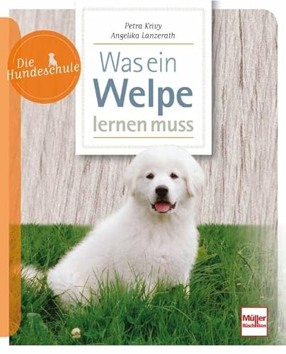 Was ein Welpe lernen muss Was ein Welpe lernen muss