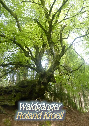Waldgänge Roland Kroell: Kurzgeschichten aus dem Wald