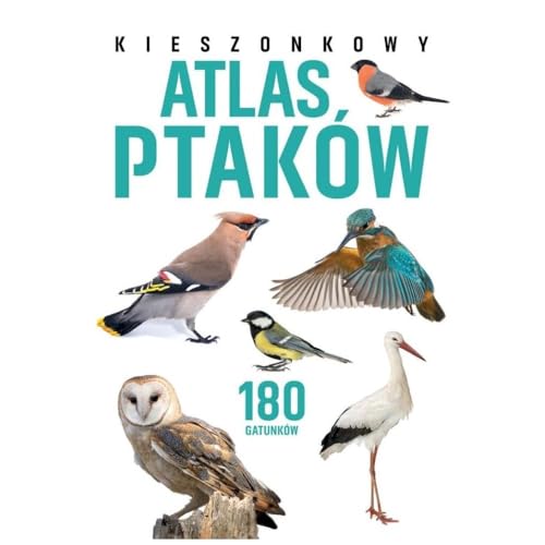 Kieszonkowy atlas ptaków. 180 gatunków von SBM