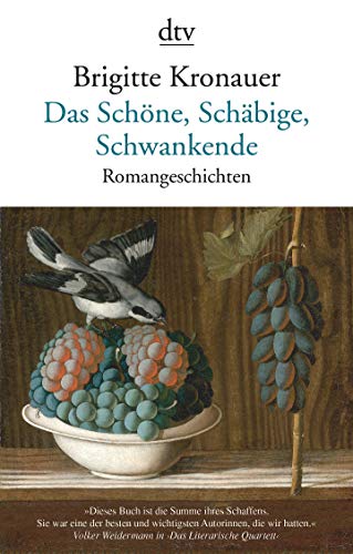 Das Schöne, Schäbige, Schwankende: Romangeschichten