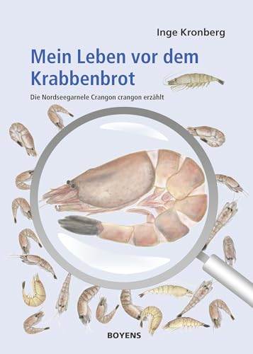 Mein Leben vor dem Krabbenbrot: Die Nordseegarnele Crangon crangon erzählt