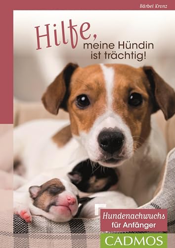 Hilfe, meine Hündin ist trächtig!: Hundenachwuchs für Anfänger