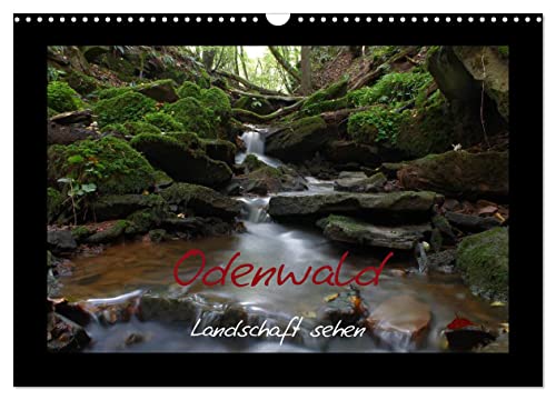 Odenwald - Landschaft sehen (Wandkalender 2025 DIN A3 quer), CALVENDO Monatskalender von CALVENDO