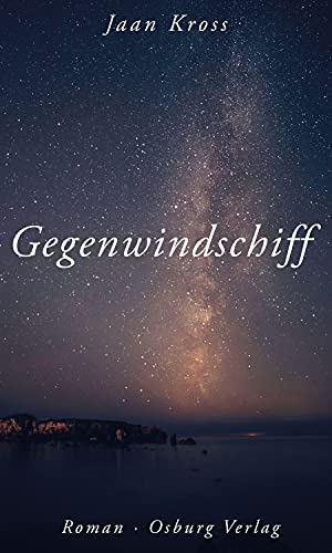 Gegenwindschiff: Roman