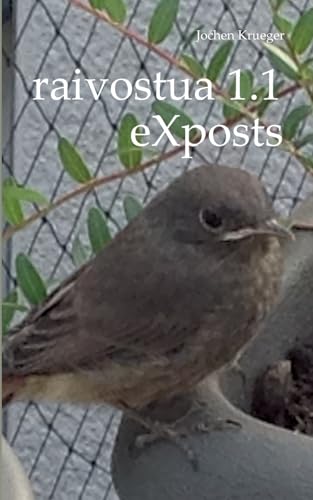 raivostua 1.1: eXposts von BoD – Books on Demand