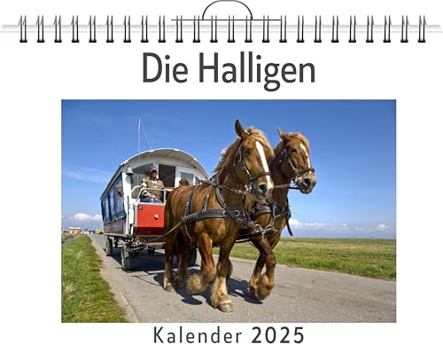 Die Halligen - (Wandkalender 2025, Kalender DIN A4 quer, Monatskalender im Querformat mit Kalendarium, das perfekte Geschenk) von FlipFlop