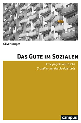 Das Gute im Sozialen: Eine perfektionistische Grundlegung des Sozialstaats von Campus Verlag