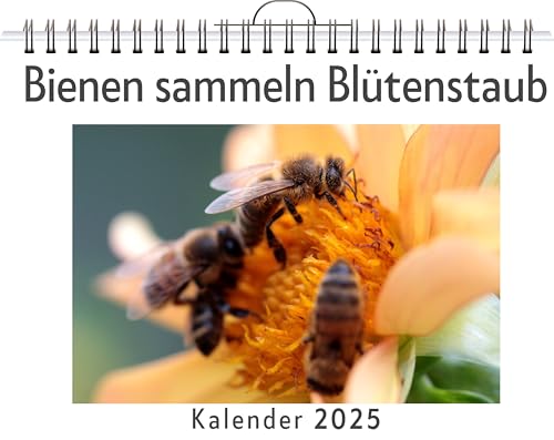 Bienen sammeln Blütenstaub - (Wandkalender 2025, Kalender DIN A4 quer, Monatskalender im Querformat mit Kalendarium, das perfekte Geschenk) von FlipFlop