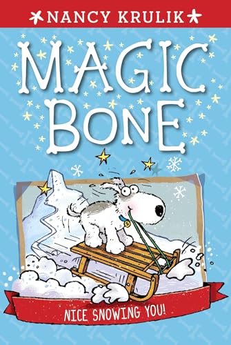 Nice Snowing You! #4 (Magic Bone, Band 4)