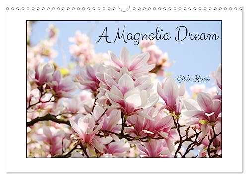 A Magnolia Dream (Wall Calendar 2025 DIN A3 landscape), CALVENDO 12 Month Wall Calendar: Magnolia, the queen of spring