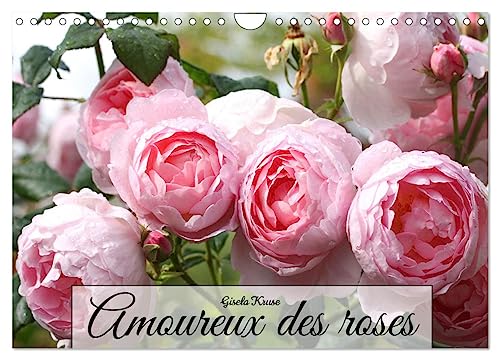 Amoureux des roses (Calendrier mural 2025 DIN A4 vertical), CALVENDO calendrier mensuel: Vues variées sur le motif infini de la rose