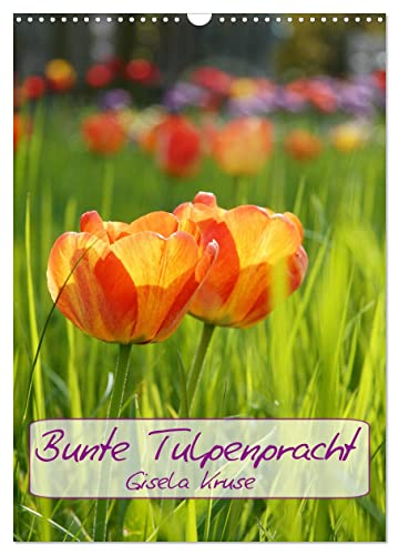 Bunte Tulpenpracht (Wandkalender 2025 DIN A3 hoch), CALVENDO Monatskalender von CALVENDO