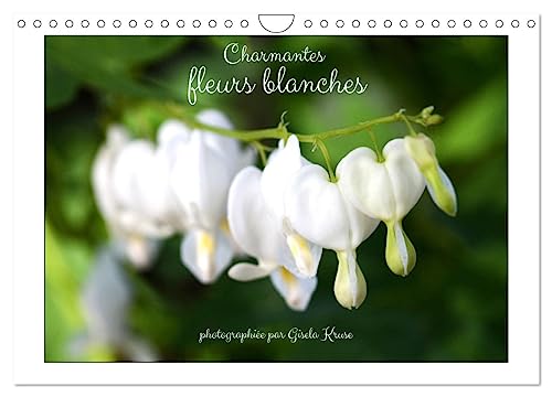 Charmantes fleurs blanches (Calendrier mural 2025 DIN A4 vertical), CALVENDO calendrier mensuel: Des fleurs blanches enchantent l'année