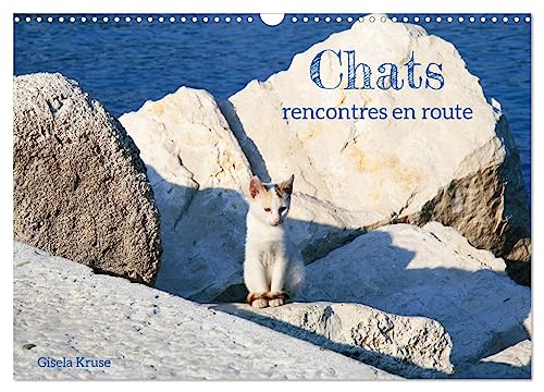 Chats - rencontres en route (Calendrier mural 2025 DIN A3 vertical), CALVENDO calendrier mensuel: En Europe du Sud, on trouve des chats errants presque partout