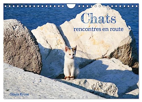 Chats - rencontres en route (Calendrier mural 2025 DIN A4 vertical), CALVENDO calendrier mensuel: En Europe du Sud, on trouve des chats errants presque partout