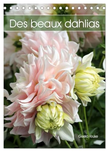Des beaux dahlias (Calendrier de bureau 2025 DIN A5 horizontal), CALVENDO calendrier mensuel: Les dahlias du jardin fascinent par leurs innombrables formes et couleurs von Calvendo