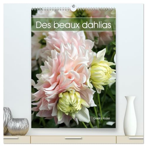 Des beaux dahlias (Calendrier mural 2025 DIN A2 horizontal) calendrier de bureau: Les dahlias du jardin fascinent par leurs innombrables formes et couleurs von Calvendo