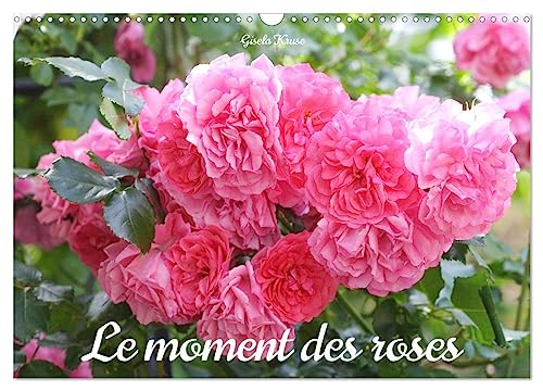 Le moment des roses (Calendrier mural 2025 DIN A3 vertical), CALVENDO calendrier mensuel: Les roses enchantent la vie