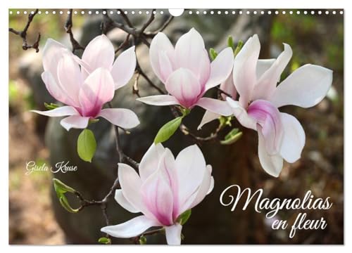 Magnolias en fleur (Calendrier mural 2025 DIN A3 vertical), CALVENDO calendrier mensuel: Magnifiques portraits de fleurs lumineuses