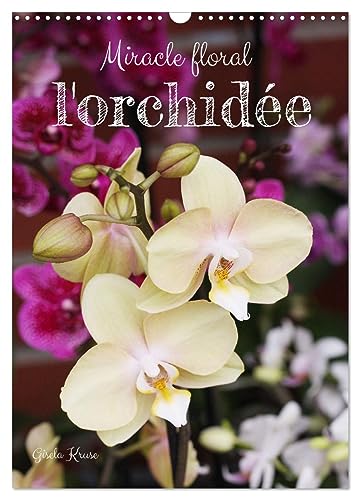 Miracle floral l'orchidée (Wandkalender 2024 DIN A3 hoch), CALVENDO Monatskalender