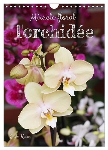 Miracle floral l'orchidée (Wandkalender 2024 DIN A4 hoch), CALVENDO Monatskalender von CALVENDO