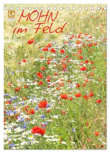 Mohn im Feld (Tischkalender 2025 DIN A5 hoch), CALVENDO Monatskalender: Pure Sommerfreude mit strahlenden, roten Mohnblumen von CALVENDO