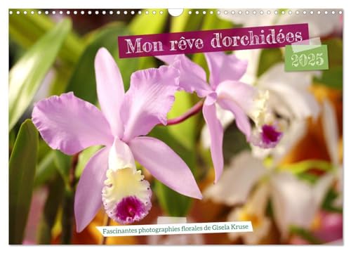 Mon rêve d'orchidées (Calendrier mural 2025 DIN A3 vertical), CALVENDO calendrier mensuel: Des fleurs d'orchidées variées en photographies expressives