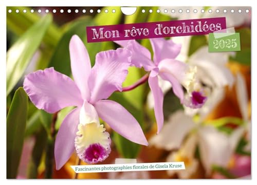 Mon rêve d'orchidées (Calendrier mural 2025 DIN A4 vertical), CALVENDO calendrier mensuel: Des fleurs d'orchidées variées en photographies expressives