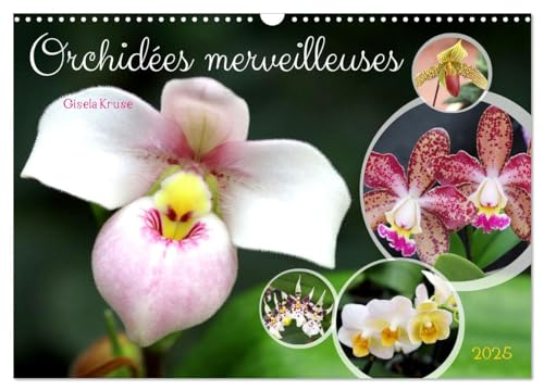 Orchidées merveilleuses (Calendrier mural 2025 DIN A3 vertical), CALVENDO calendrier mensuel: Des fleurs fascinantes d'une grande diversité