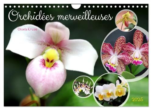 Orchidées merveilleuses (Calendrier mural 2025 DIN A4 vertical), CALVENDO calendrier mensuel: Des fleurs fascinantes d'une grande diversité