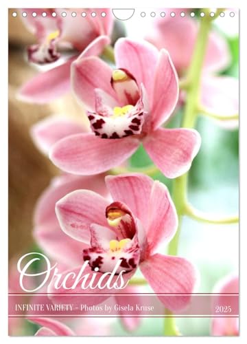 Orchids - Infinite Variety (Wall Calendar 2025 DIN A4 Portrait), CALVENDO 12 Month Wall Calendar von CALVENDO
