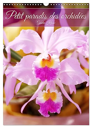 Petit paradis des orchidées (Calendrier mural 2025 DIN A3 horizontal), CALVENDO calendrier mensuel: Un coffre à trésors rempli de bijoux de fleurs