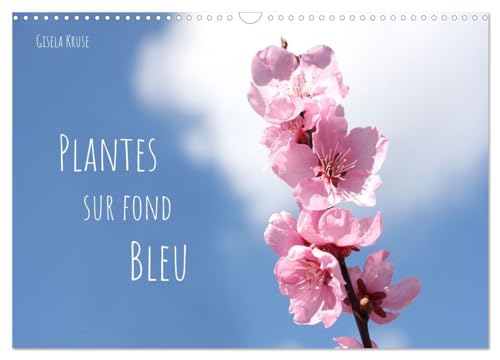 Plantes sur fond bleu (Calendrier mural 2025 DIN A3 vertical), CALVENDO calendrier mensuel: Des branches fleuries et des feuilles colorées se détachent sur un ciel bleu