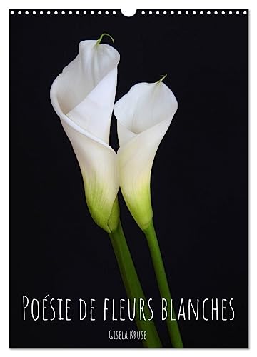 Poésie de fleurs blanches (Calendrier mural 2025 DIN A3 horizontal), CALVENDO calendrier mensuel: Beautés florales blanches représentées contre un fond sombre