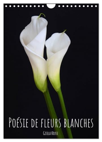 Poésie de fleurs blanches (Calendrier mural 2025 DIN A4 horizontal), CALVENDO calendrier mensuel: Beautés florales blanches représentées contre un fond sombre