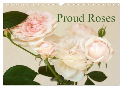 Proud Roses (Wall Calendar 2025 DIN A3 landscape), CALVENDO 12 Month Wall Calendar: The calendar for rose enthusiasts