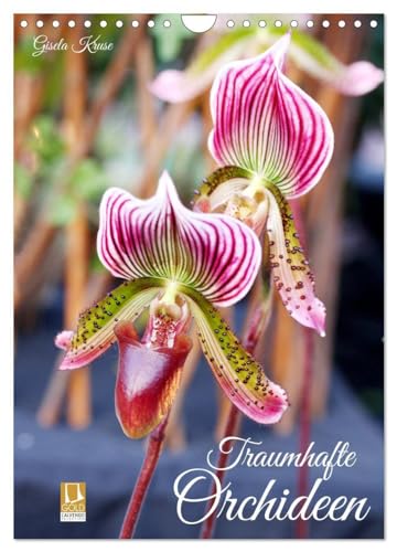 Traumhafte Orchideen (Wandkalender 2025 DIN A4 hoch), CALVENDO Monatskalender: Vielfältige Orchideenblüten in ausdrucksstarken Fotografien von CALVENDO