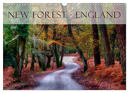 New Forest - England (Wandkalender 2025 DIN A3 quer), CALVENDO Monatskalender von CALVENDO