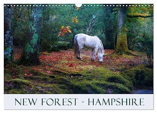 New Forest Hampshire (Wandkalender 2025 DIN A3 quer), CALVENDO Monatskalender von CALVENDO